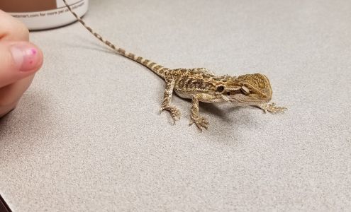 Countryside Veterinary Service - Champion