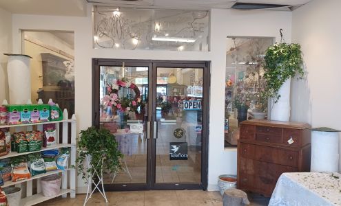 Lemon Tree Flowers & Things