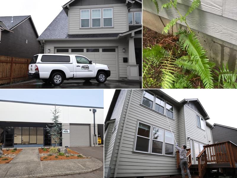 Prime Pest Solutions