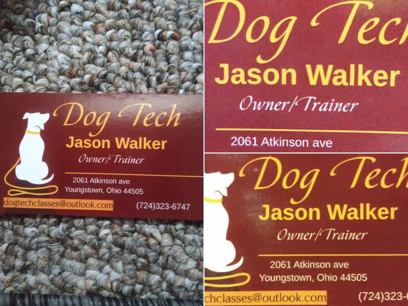 Dog Tech LLC
