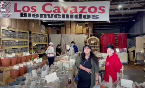 Los Cavazos