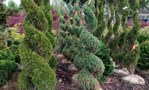 Olney Gardens Wholesale