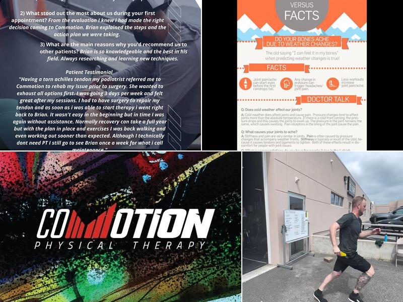 Village Physical Therapy and Wellness PC