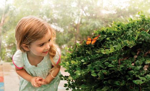Primrose School at Balmoral