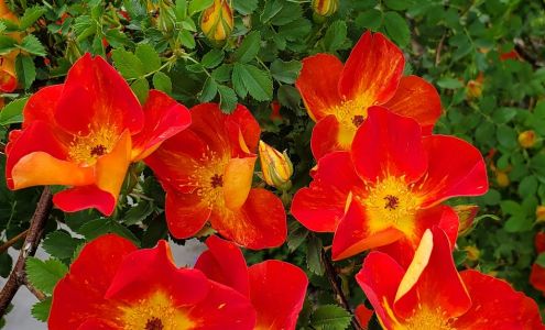 Southwest Sublette County Pioneers Senior Center Big Piney