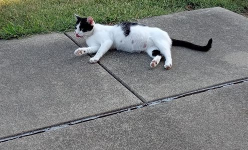 Crawford County Humane Society Robinson