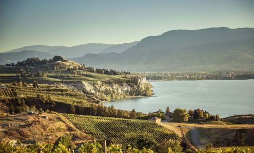 Team Thompson Real Estate Group