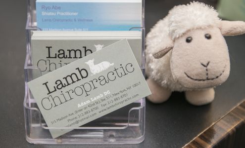 Lamb Chiropractic, Adam Lamb DC 315 Madison Avenue Suite 511 Entrance on 42nd St next to Chick Fil A, New York New York 10017