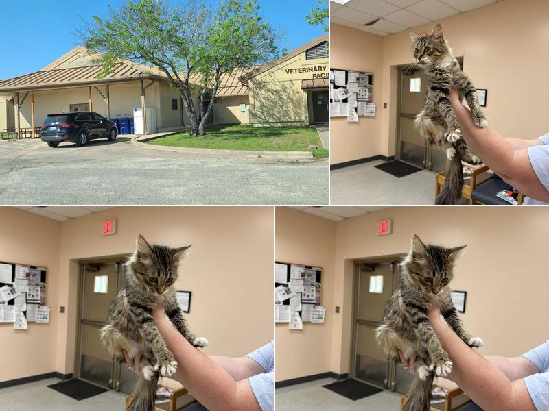 Lackland AFB Veterinary Treatment Facility