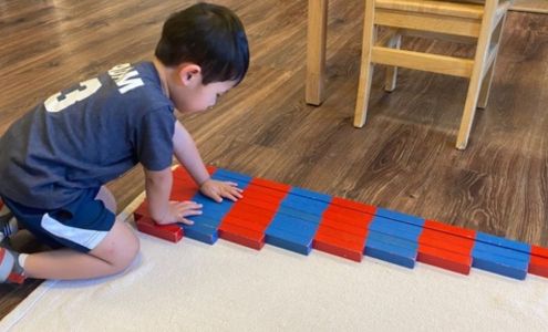 Wonderland Montessori of Las Colinas