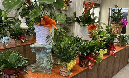 Plano Road Florist