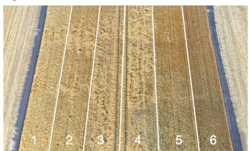 Keating Seed Farms Inc Russell