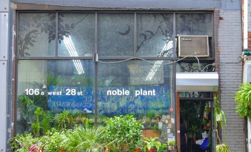 Noble Plants