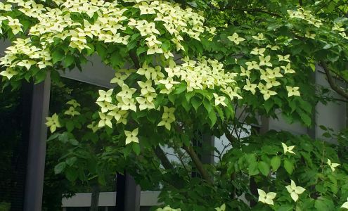 Professional Orthopaedic Associates