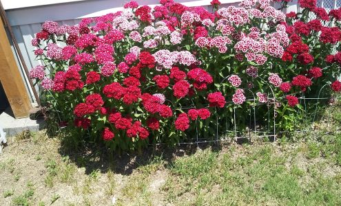 Riverside Mobile Home Park Axtell