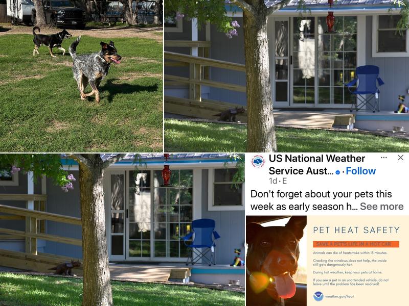 Fossil Ridge Doggie Playcare