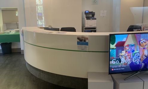 Image Orthodontics - Westborough Blvd