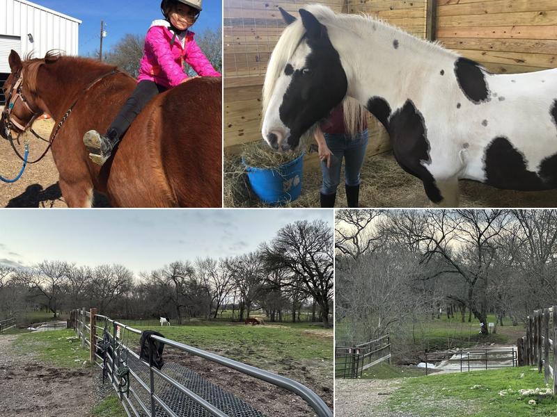 Healing with Horses Ranch