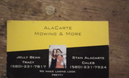 AlaCarte Mowing & More