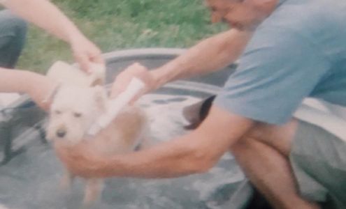 Mullen Small Animal Clinic 11 Colborne St N, Walkerton Ontario N0G 2V0