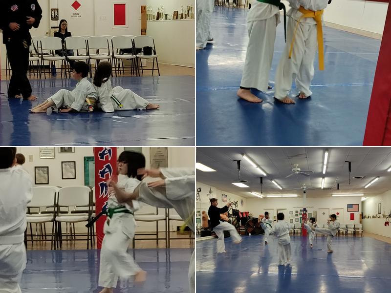 American Academy of Martial Arts