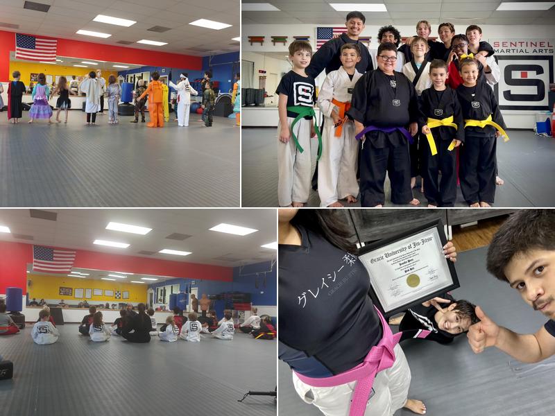 Sentinel Martial Arts