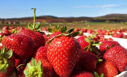 Guy Rivest Farm Rawdon