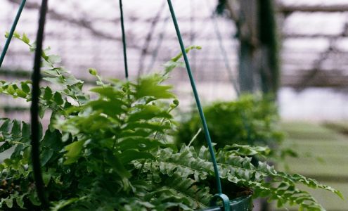 Bob's Market and Greenhouses, Inc. - Wholesale