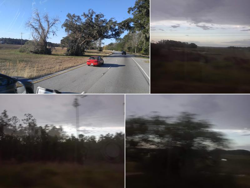 Malphrus Pest Control