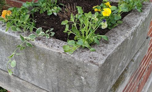 Garden Center at The Home Depot