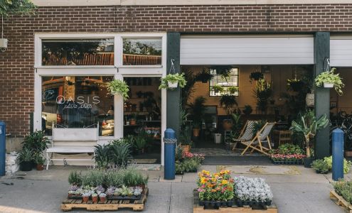 Oasis Plant Shop