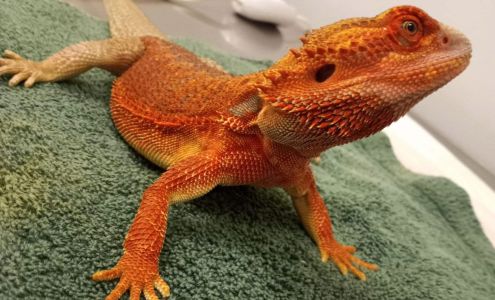 Live Oak Animal Hospital South