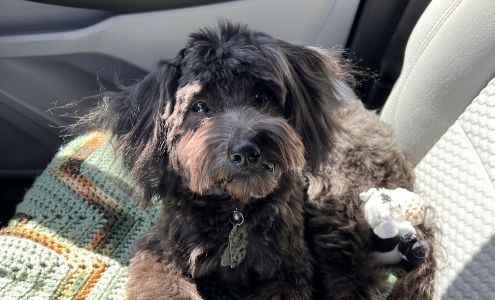 The Paw Spa 404 S Mc Masters St, Amarillo Texas 79106