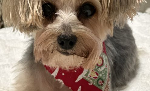 The Groomery 4090 Business Park Dr, Amarillo Texas 79110