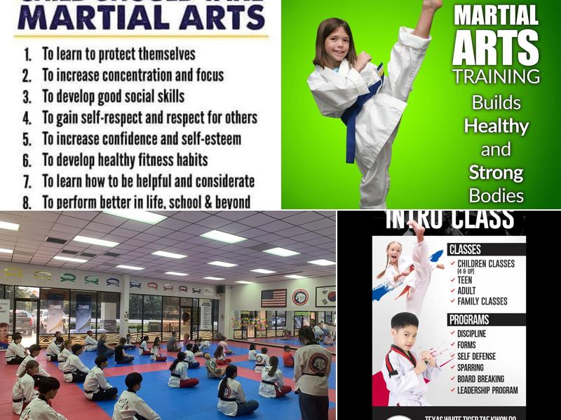 Texas White Tiger Taekwondo