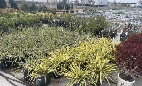 Deseret Nursery Perennial Farm