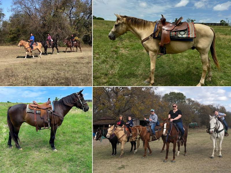 Broken Bow Ranch
