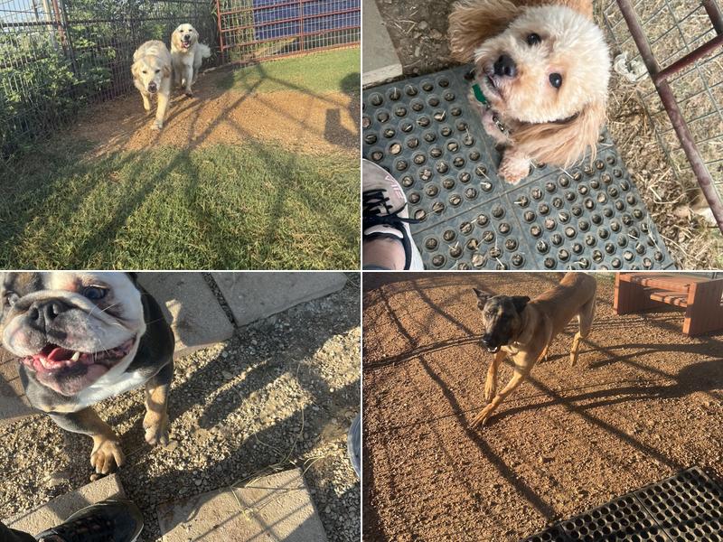 Whistler Ranch Bed and Biscuit