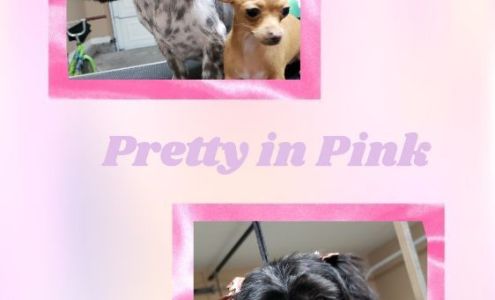 Style on grooming and spaw 1100 W Eagle Ave, Pharr Texas 78577