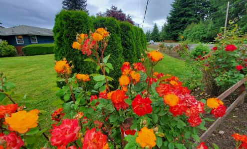 Junction City/Harrisburg/Monroe Habitat for Humanity