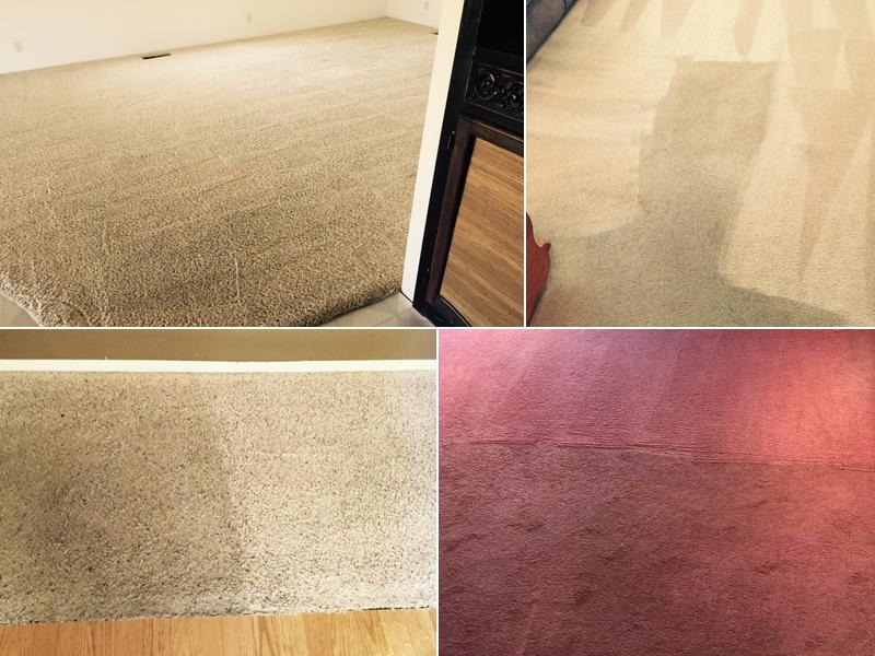 Linn Benton Carpet Cleaning