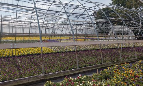 Paramount Greenhouse & Nursery