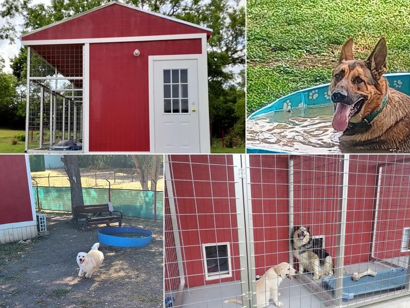 I 35 Kennel and Dog Training LLC