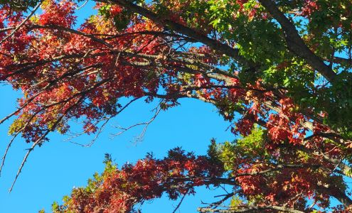 The Children's Courtyard on Morriss Road