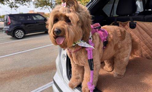 Dogtopia of Frisco-Preston