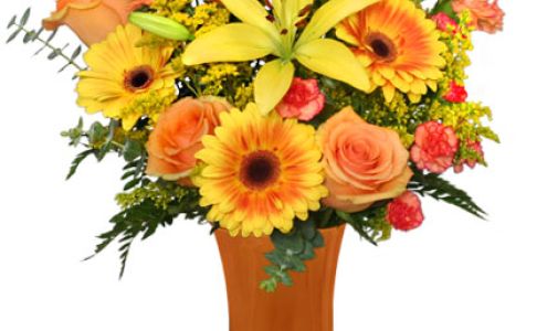 A Rose Gallery & Bridal Shop/Melinda Potter