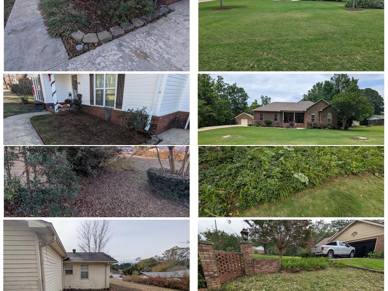 Every Blade Lawn Service