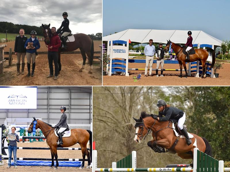 StoryBook Sport Horses