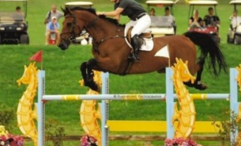 Hillcrest Farm 211 FM1830, Argyle Texas 76226