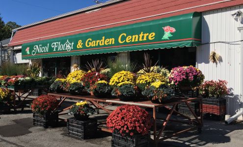 Nicol Florist